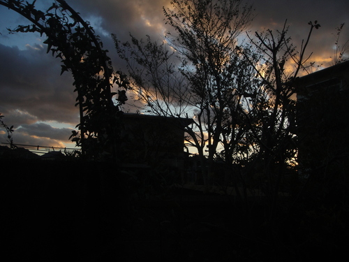 c0108460_17175317.jpg