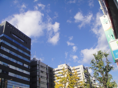 c0108460_1765091.jpg