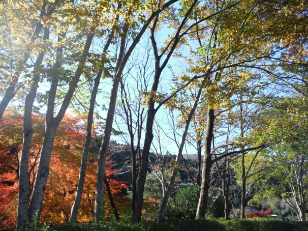 b0304662_2384979.jpg