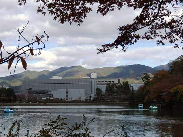 b0044663_23452959.jpg