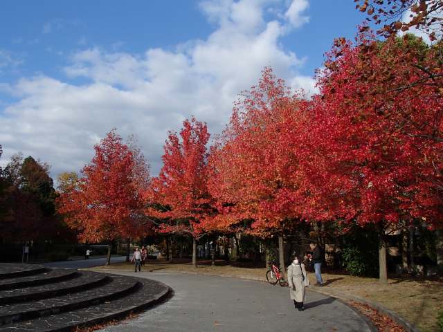 b0044663_2348560.jpg