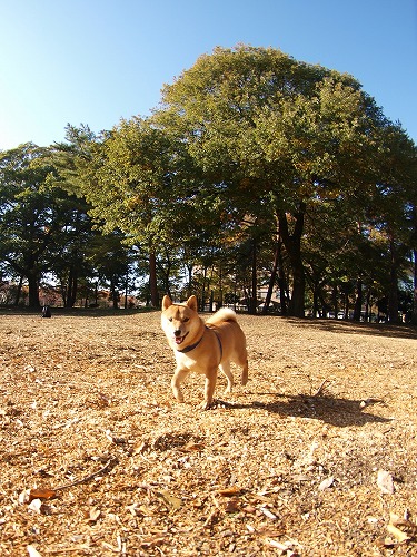 b0180764_0162840.jpg