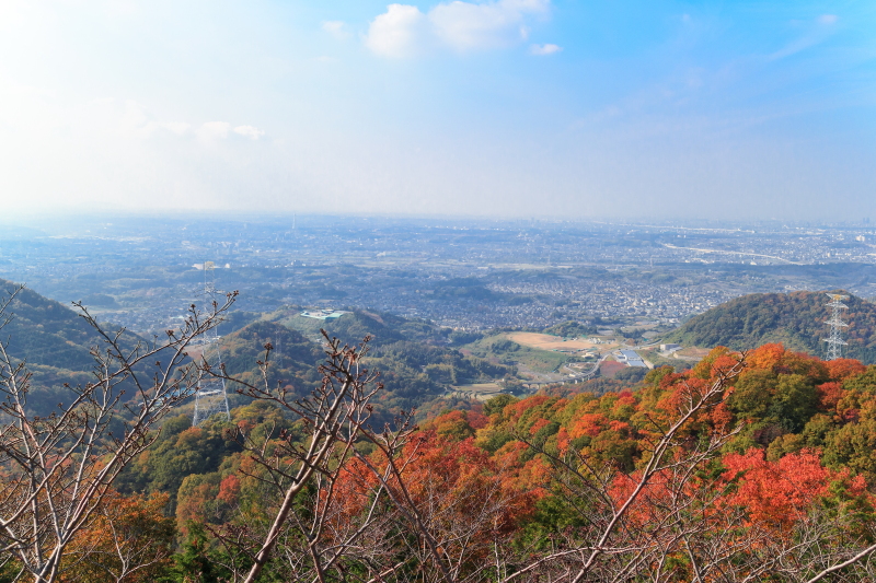 a0314571_20593728.jpg