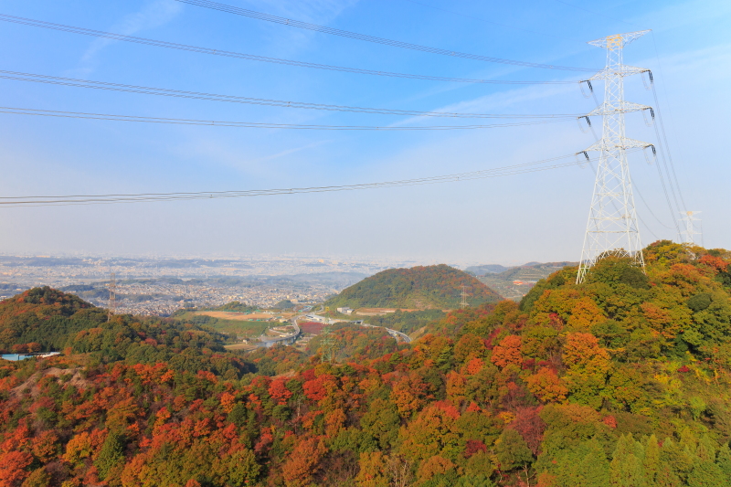 a0314571_2115315.jpg