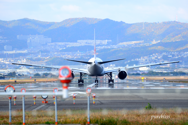 b0243873_13583751.png