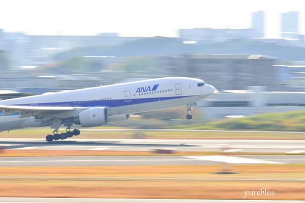 b0243873_20124803.png