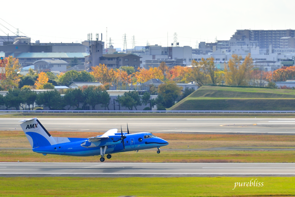b0243873_20194992.png