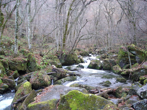 d0165378_8113230.jpg