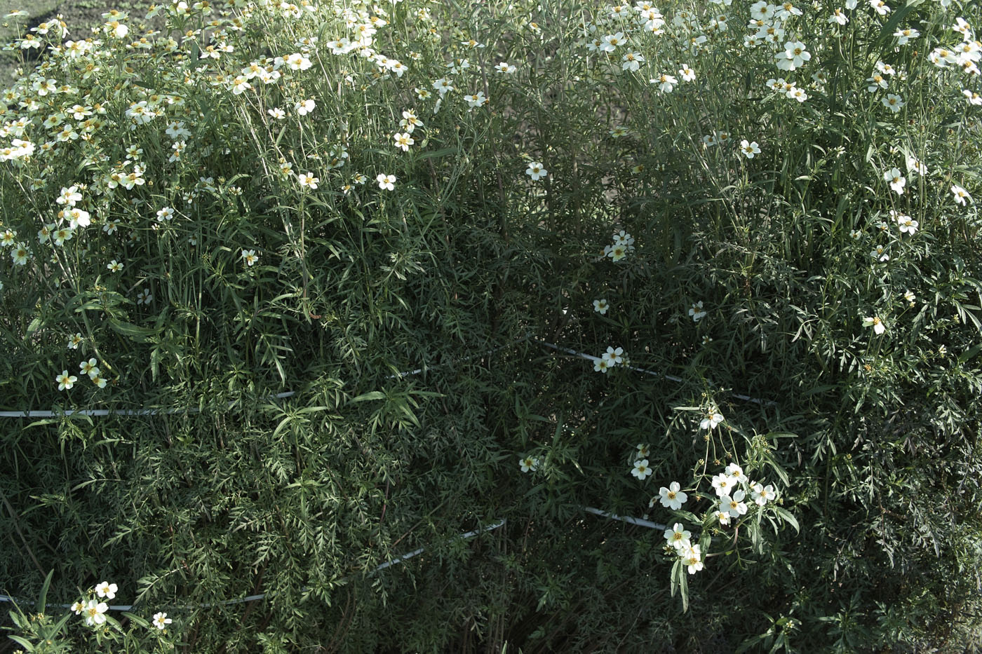 d0286980_12465244.jpg
