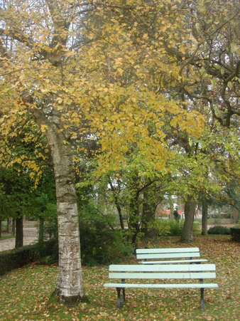 a0247585_301514.jpg