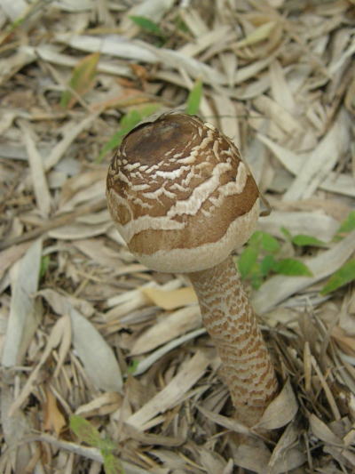 e0017396_20343554.jpg
