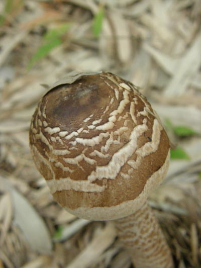 e0017396_20414273.jpg