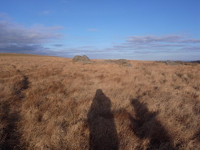 b0110999_434888.jpg