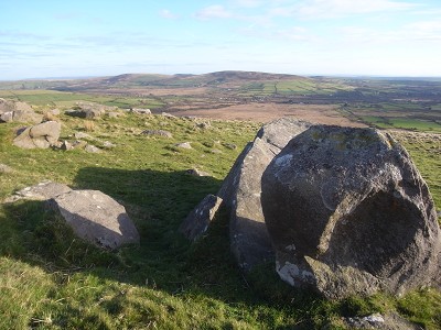 b0110999_43613.jpg