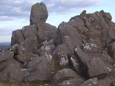 b0110999_442680.jpg