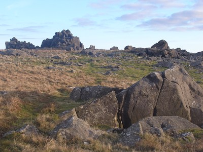b0110999_462945.jpg