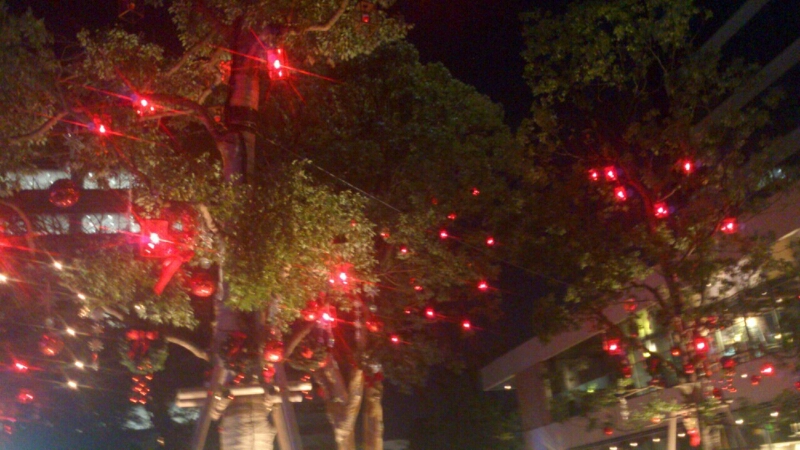 c0202101_150152.jpg