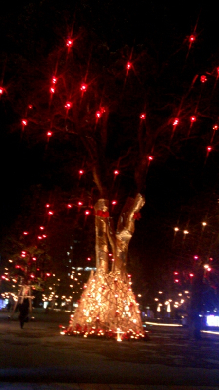 c0202101_1502711.jpg