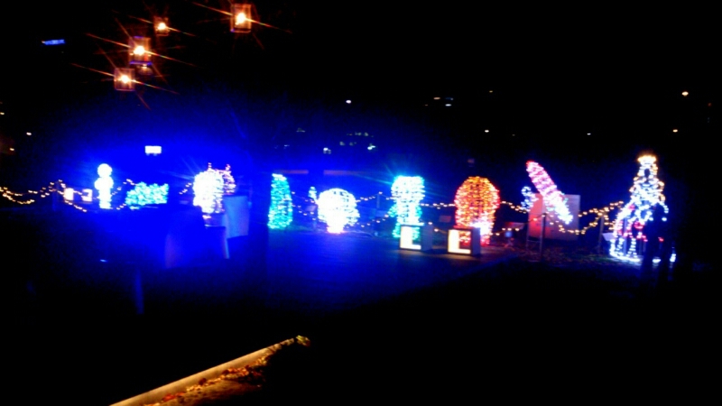 c0202101_1503734.jpg