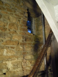 e0206902_4584873.jpg