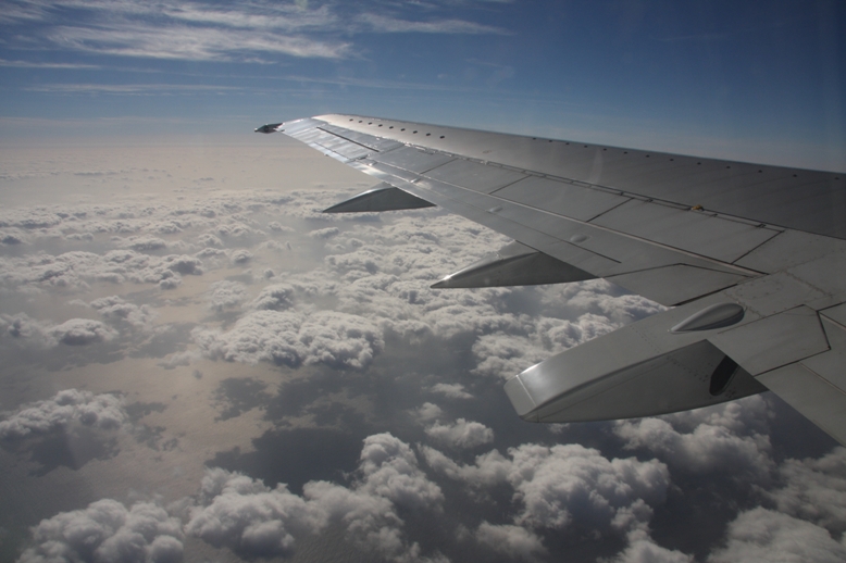 d0136804_6162361.jpg