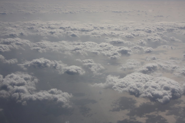 d0136804_617339.jpg