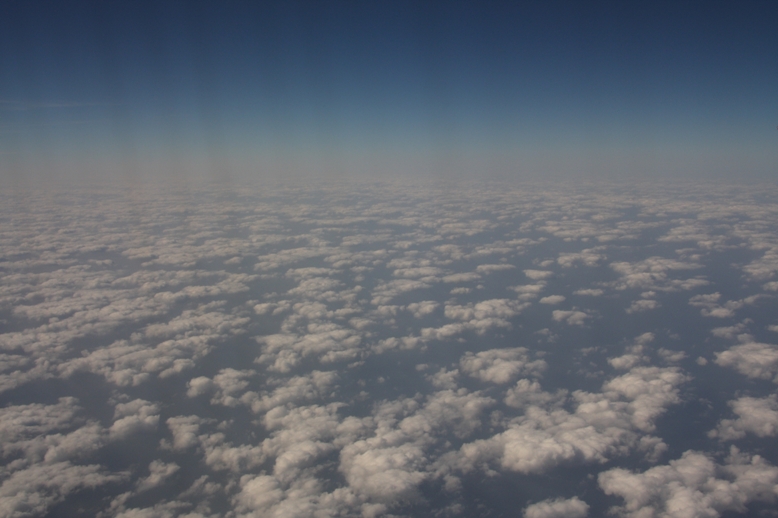 d0136804_6295513.jpg