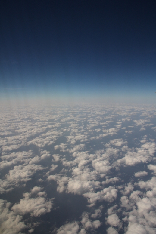 d0136804_6302494.jpg