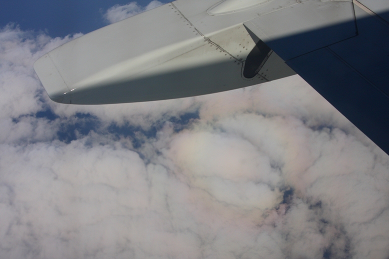 d0136804_6303929.jpg