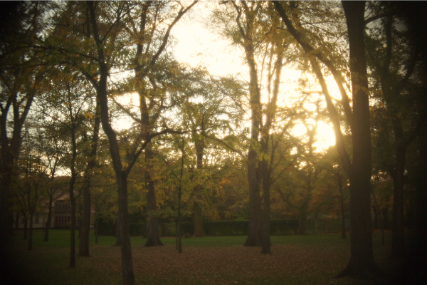 c0202705_1137194.png