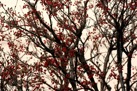 f0041606_2055100.jpg