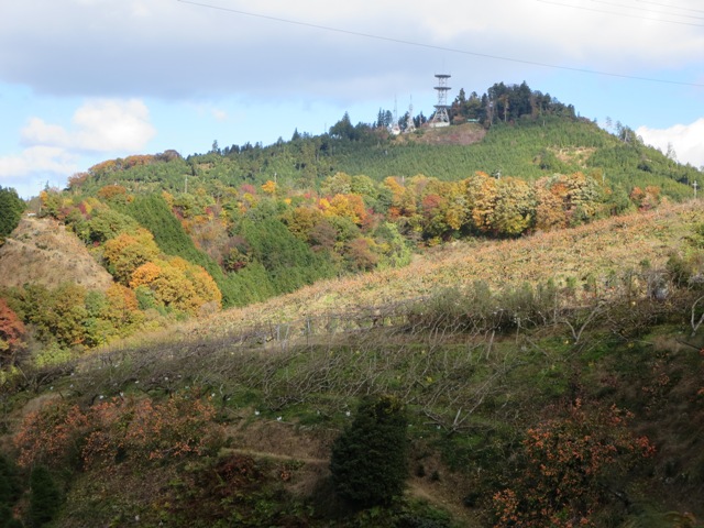 e0146907_2025661.jpg