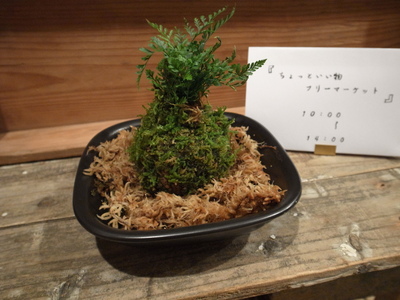 a0288808_1703097.jpg