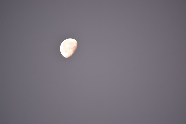 b0277008_15413775.jpg