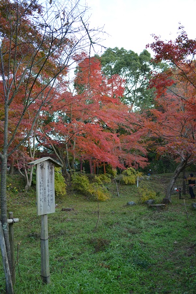 b0277008_15525537.jpg