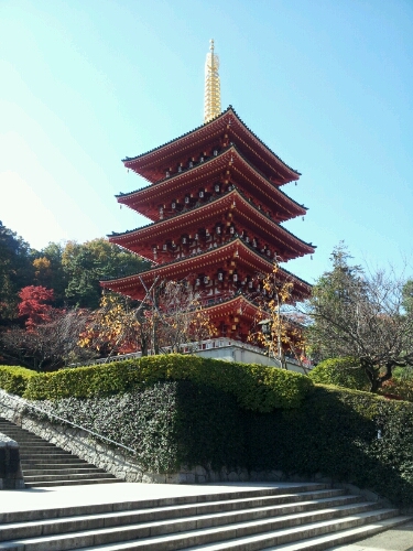 a0183009_848987.jpg