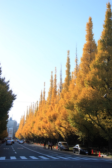 a0284809_2147944.jpg