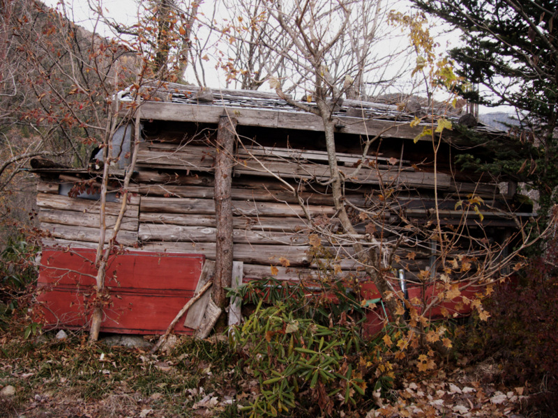 b0244811_0171834.jpg