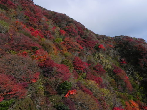 e0238313_18111588.jpg