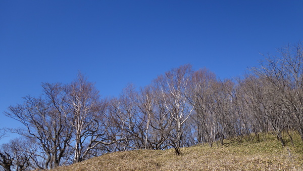 f0033314_2323180.jpg