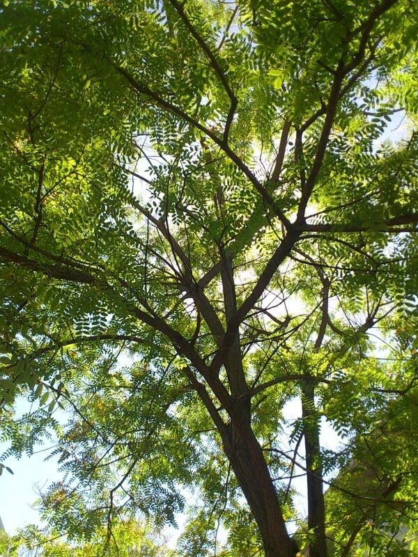 c0025422_2394457.jpg