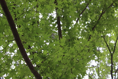 e0123322_2211144.jpg