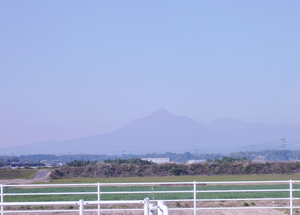 a0206332_9523076.jpg