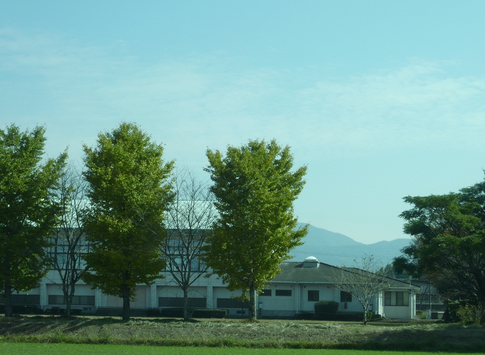 a0206332_9524642.jpg