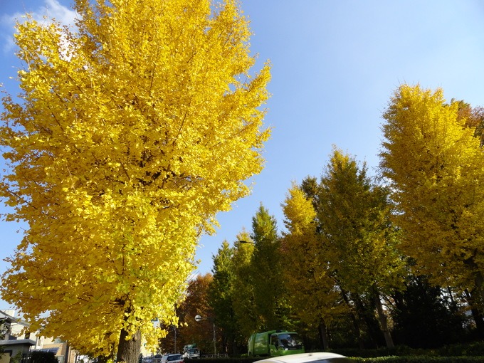 f0238932_11352211.jpg