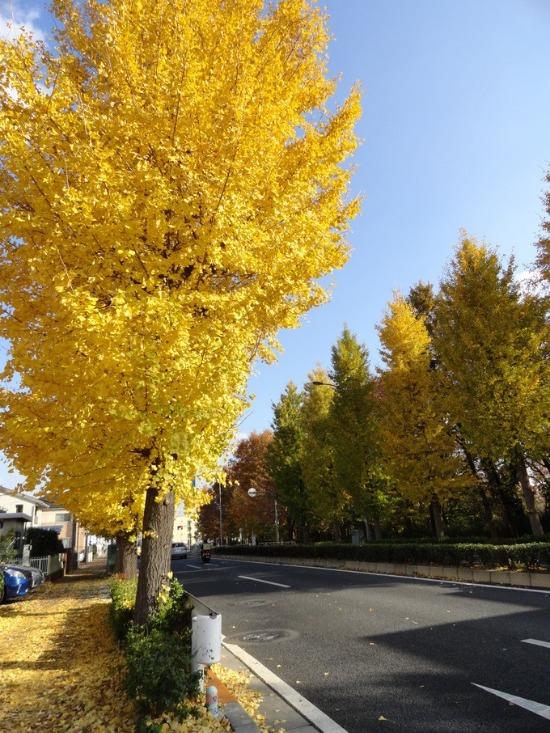 f0238932_1135589.jpg