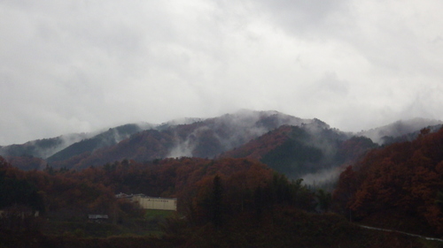 c0300035_1638473.jpg