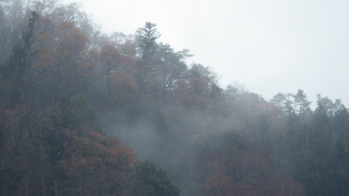 c0300035_16412244.jpg