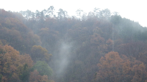 c0300035_1641446.jpg