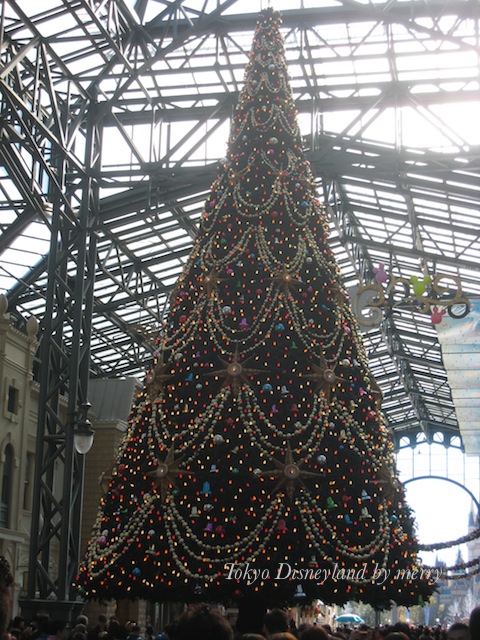 a0207736_2352929.jpg